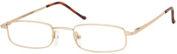 SFE (1001) Prescription Glasses