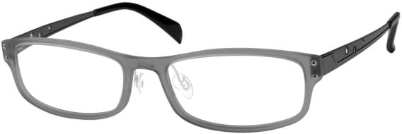 SFE-8824 glasses in Grey