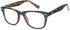 SFE-10574 glasses in Demi