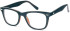 SFE-10574 glasses in Black/Brown
