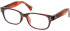 SFE-11308 glasses in Demi