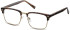 SFE-11260 glasses in Matt Gold/Turtle