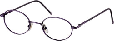 SFE-11255 glasses in Purple