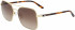 Calvin Klein CK21305S sunglasses in Gold/Soft Tortoise
