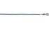 SFE glasses cord in Blue