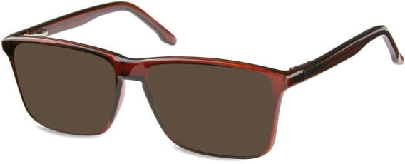 SFE-10572 sunglasses in Shiny Dark Brown
