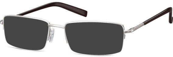 SFE-2026 sunglasses in Silver
