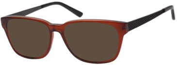 SFE-2037 sunglasses in Brown