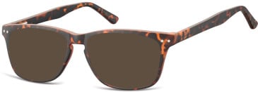 SFE-10543 sunglasses in Turtle