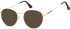 SFE-10678 sunglasses in Gold/Turtle