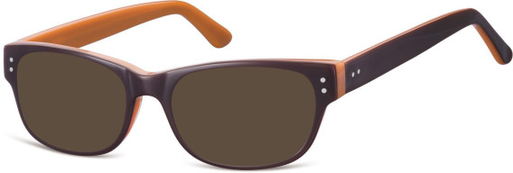 SFE-1128 sunglasses in Brown