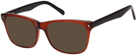 SFE-8127 sunglasses in Brown