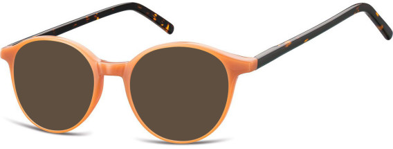 SFE-9797 sunglasses in Brown/Turtle