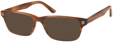 SFE-1099 sunglasses in Brown