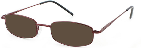 SFE-1033 sunglasses in Coffee