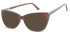 SFE-10917 sunglasses in Brown