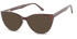 SFE-10916 sunglasses in Brown