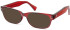 SFE-11308 sunglasses in Clear Burgundy