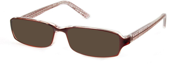 SFE-11307 sunglasses in Brown