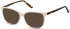 SFE-11281 sunglasses in Shiny Beige