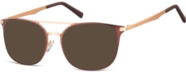 SFE-11272 sunglasses in Dark Brown/Gold