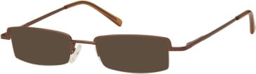 SFE-11238 sunglasses in Coffee