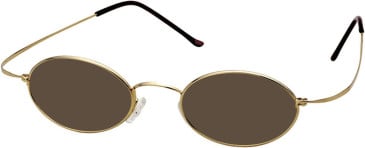 SFE-11211 sunglasses in Gold