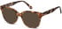 SFE-11280 sunglasses in Turtle
