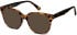 SFE-11280 sunglasses in Shiny Turtle