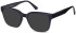 SFE-11279 sunglasses in Shiny Blue