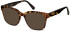 SFE-11279 sunglasses in Shiny Turtle