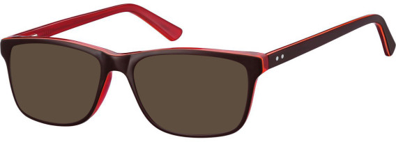 SFE-11276 sunglasses in Brown/Transparent Red