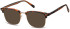 SFE-11268 sunglasses in Matt Gold/Turtle