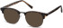 SFE-11261 sunglasses in Shiny Gunmetal/Turtle