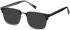 SFE-11260 sunglasses in Shiny Gunmetal/Shiny Black