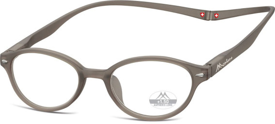 SFE-10587 glasses in Grey