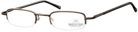 SFE-10583 glasses in Gunmetal