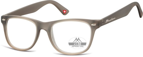 SFE-11331 glasses in Grey