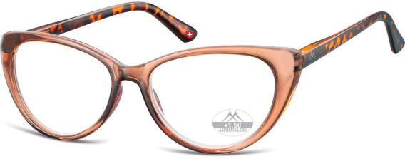 SFE-11329 glasses in Transparent Brown/Turtle