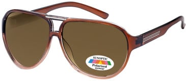 SFE-9113 sunglasses in Brown/Brown