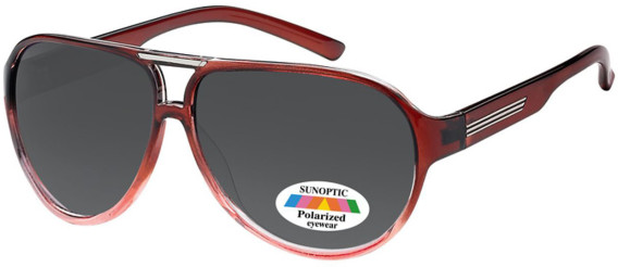 SFE-9113 sunglasses in Brown/Grey