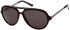 SFE-8614 sunglasses in Black
