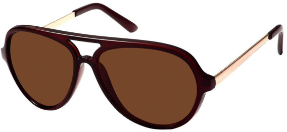 SFE-8614 sunglasses in Brown