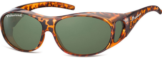 SFE-9848 sunglasses in Shiny Turtle