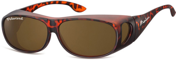 SFE-9849 sunglasses in Matt Turtle/Brown