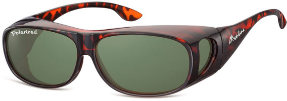 SFE-9849 sunglasses in Shiny Turtle/Green