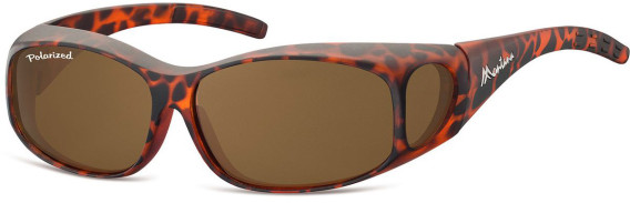 SFE-9853 sunglasses in Matt Turtle/Brown