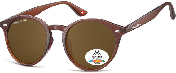 SFE-9856 sunglasses in Brown