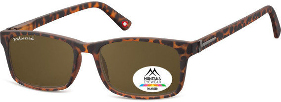 SFE-9860 sunglasses in Turtle/Brown