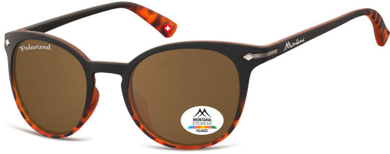 SFE-9866 sunglasses in Black/Turtle